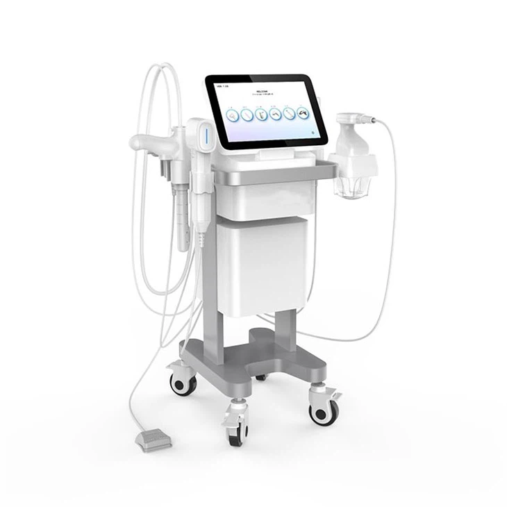 professional hifu machine (3)